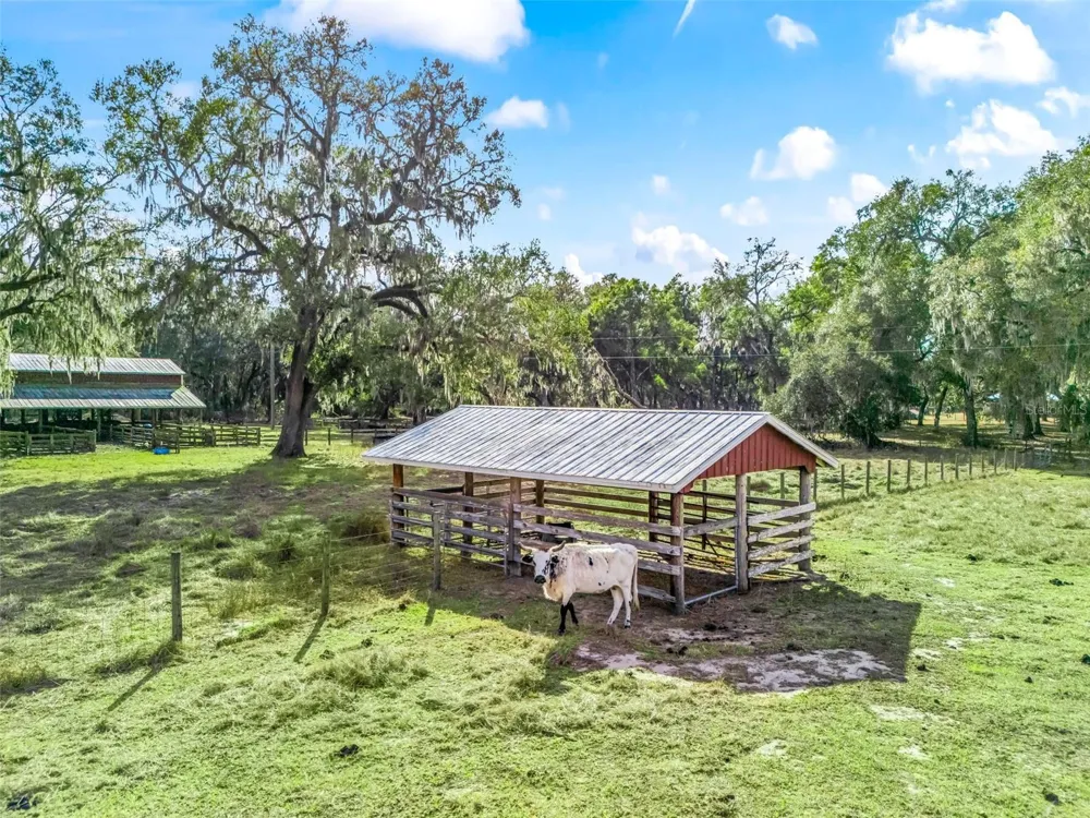 4430 CR 542H Bushnell, FL 33513