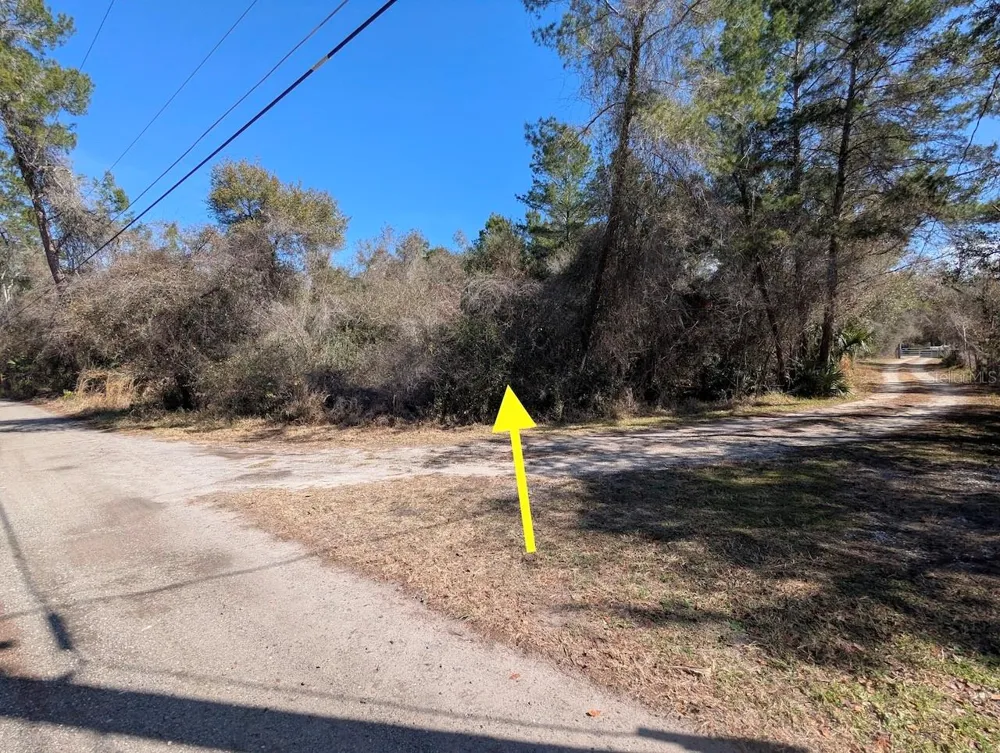 COCHRAN ROAD Geneva, FL 32732