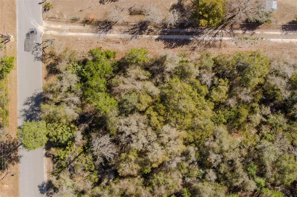COCHRAN ROAD Geneva, FL 32732