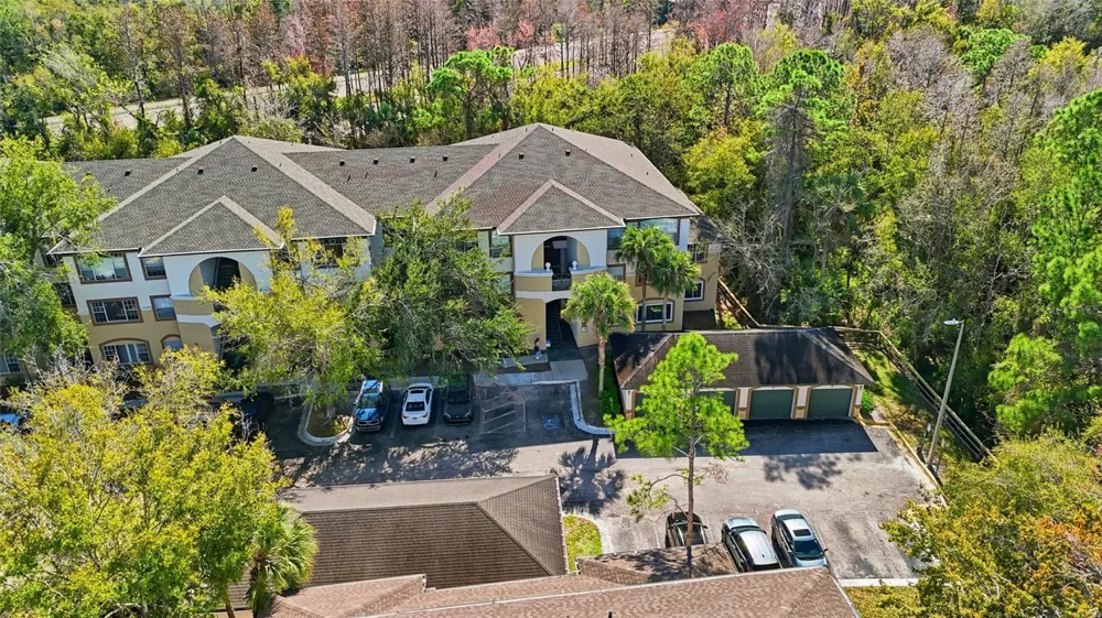 17106 CARRINGTON PARK DRIVE #623 Tampa, FL 33647