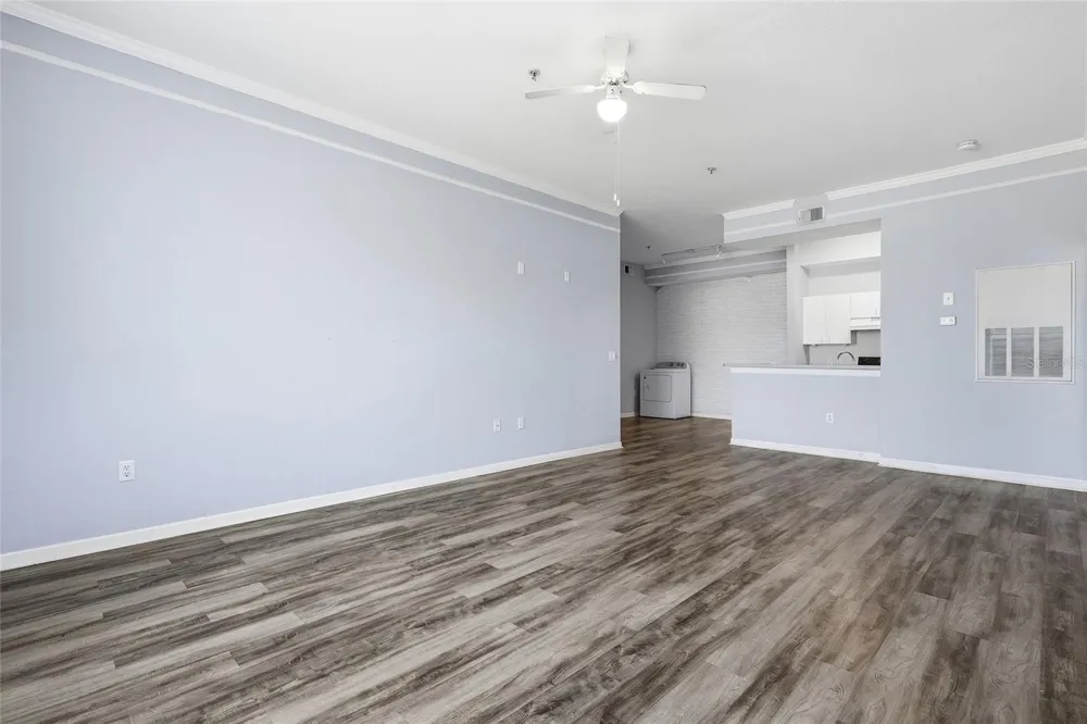 17106 CARRINGTON PARK DRIVE #623 Tampa, FL 33647
