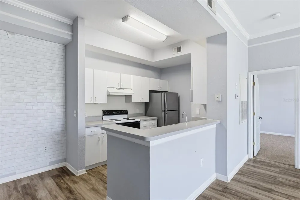 17106 CARRINGTON PARK DRIVE #623 Tampa, FL 33647