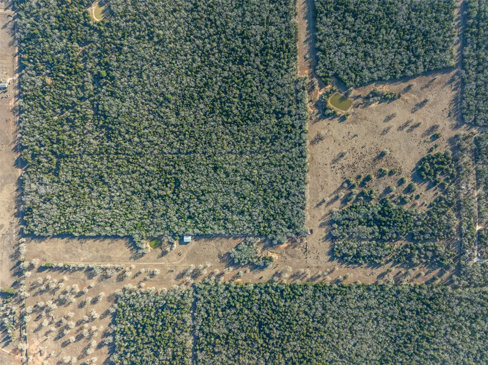 CR 332 Paige, TX 78659