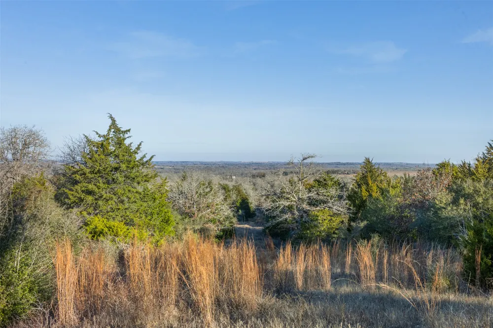 CR 332 Paige, TX 78659