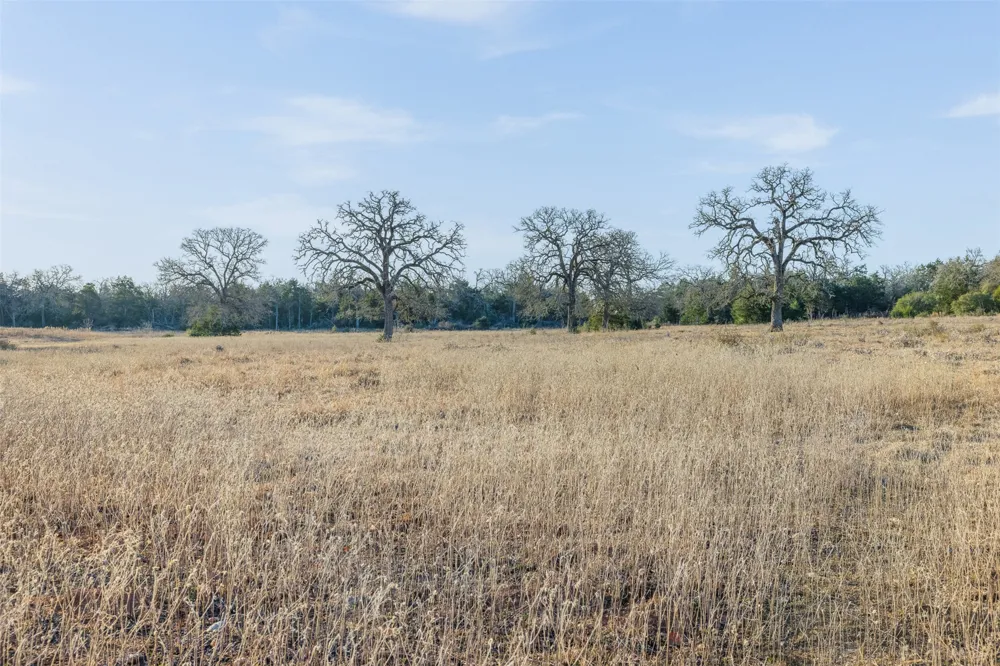 CR 332 Paige, TX 78659