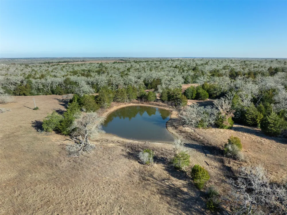 CR 332 Paige, TX 78659