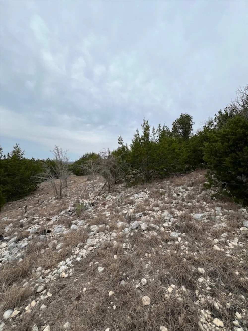 4238 E. FM 581 Lometa, TX 76853
