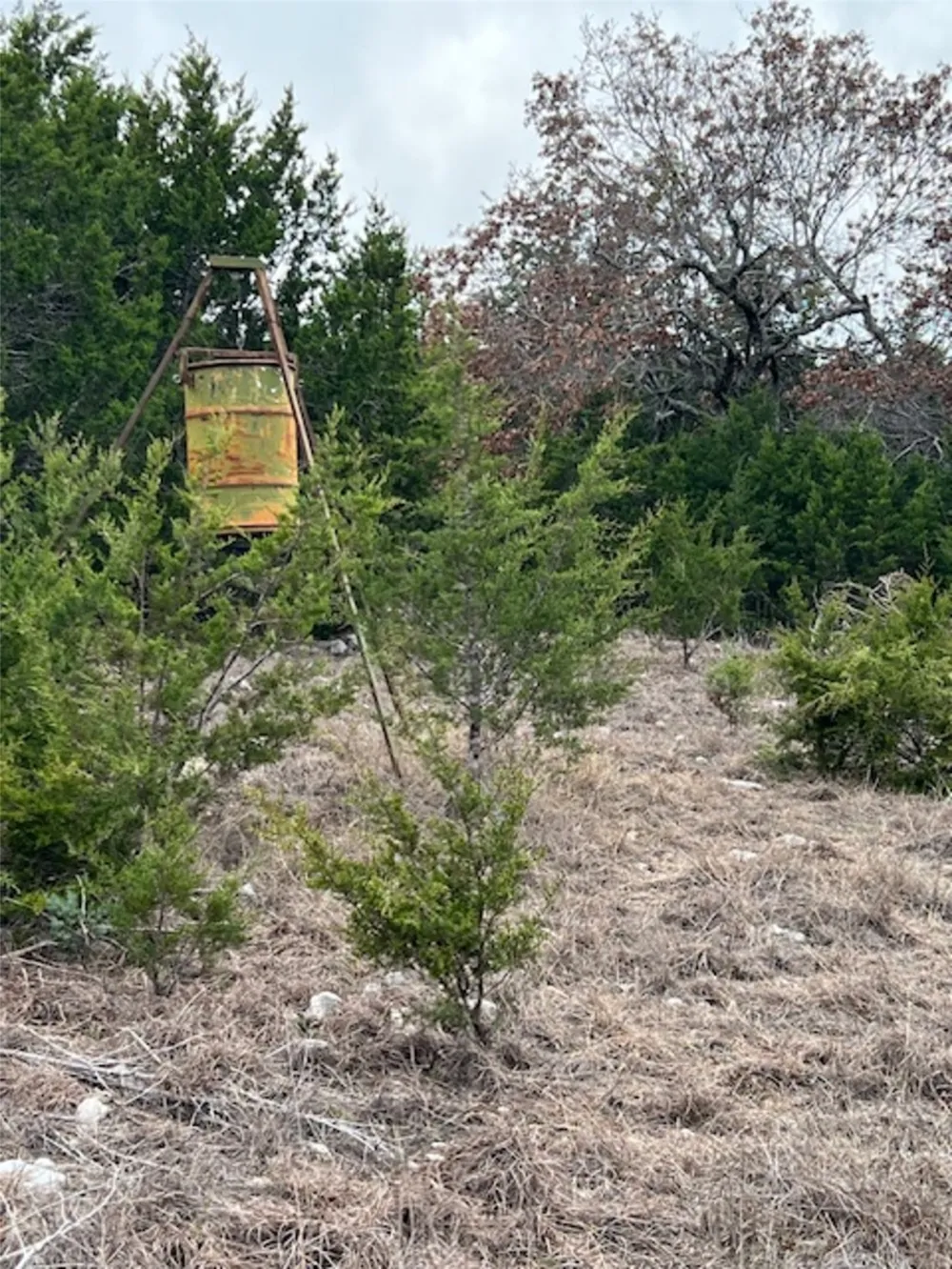 4238 E. FM 581 Lometa, TX 76853