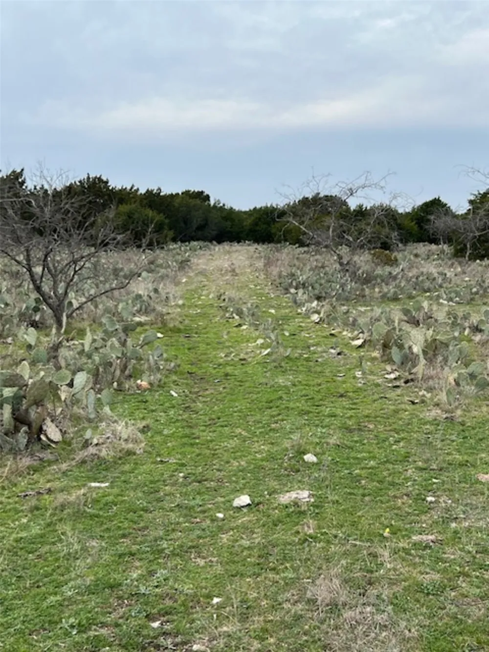 4238 E. FM 581 Lometa, TX 76853
