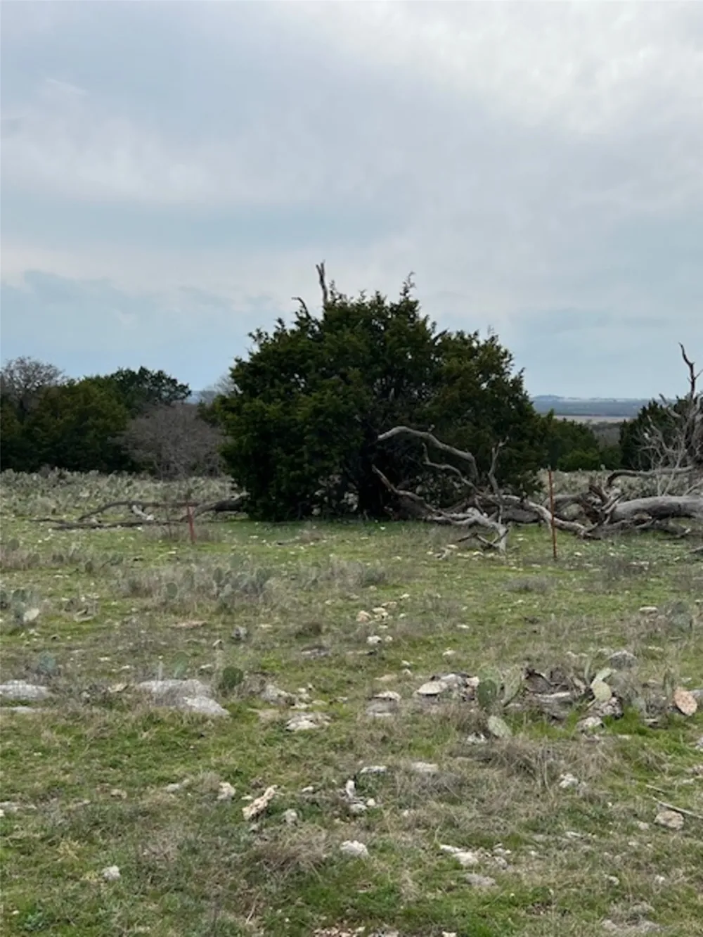 4238 E. FM 581 Lometa, TX 76853