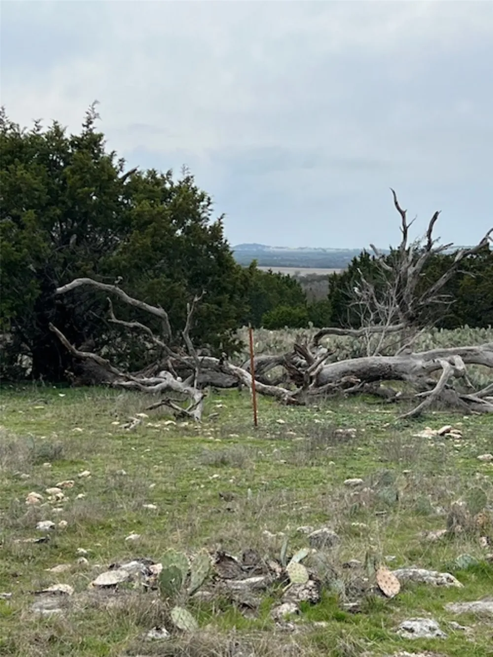 4238 E. FM 581 Lometa, TX 76853