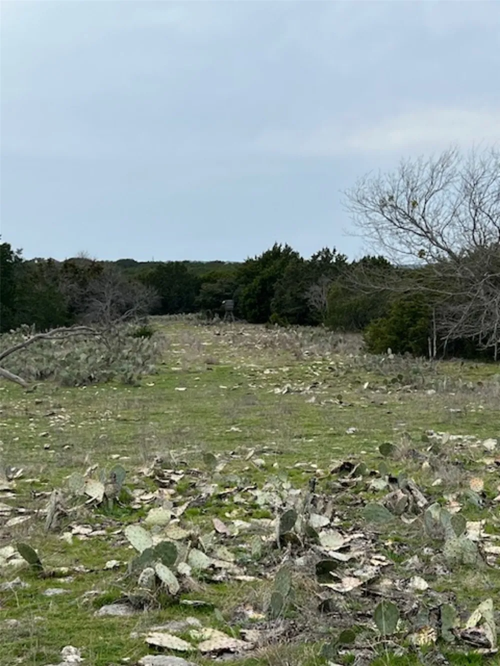 4238 E. FM 581 Lometa, TX 76853