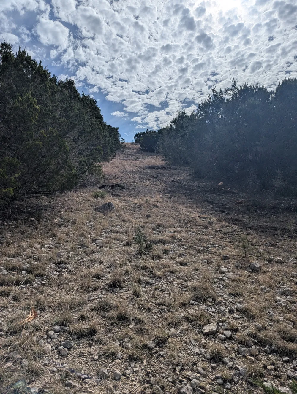 4238 E. FM 581 Lometa, TX 76853