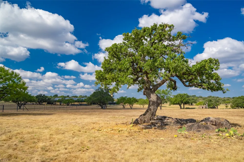3019 S Highway 16 Llano, TX 78643