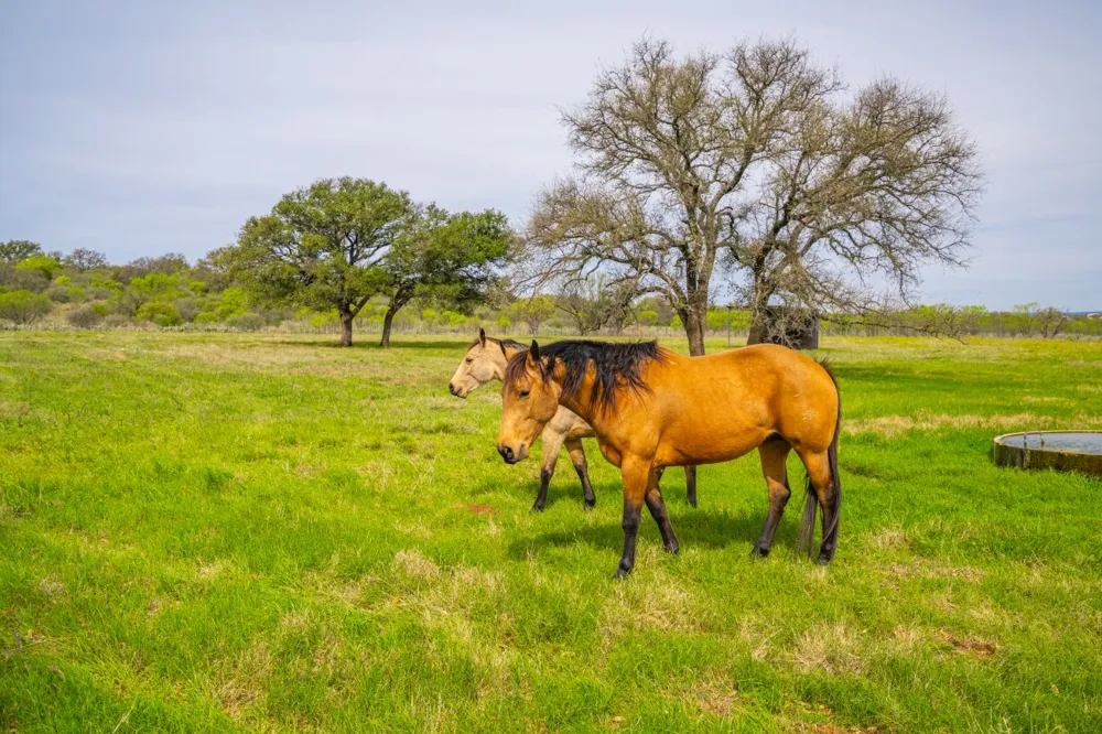 3019 S Highway 16 Llano, TX 78643