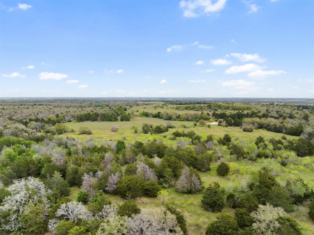 County Road 332 Paige, TX 78659