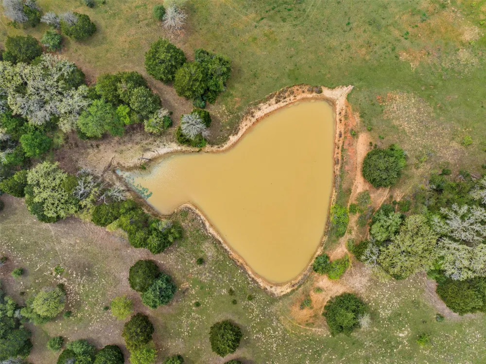 County Road 332 Paige, TX 78659