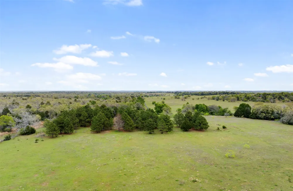 County Road 332 Paige, TX 78659