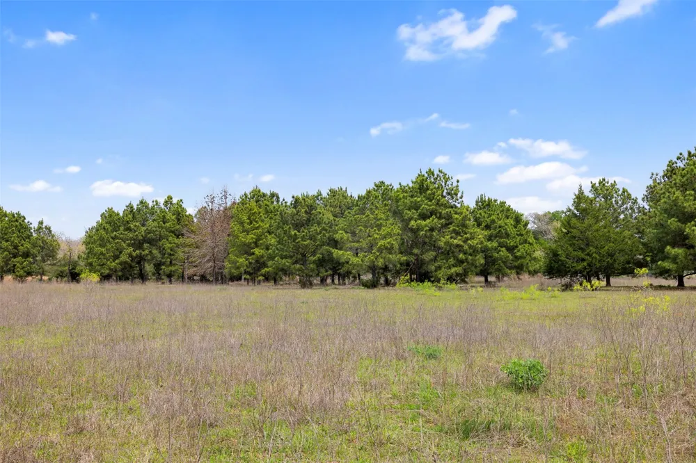 County Road 332 Paige, TX 78659