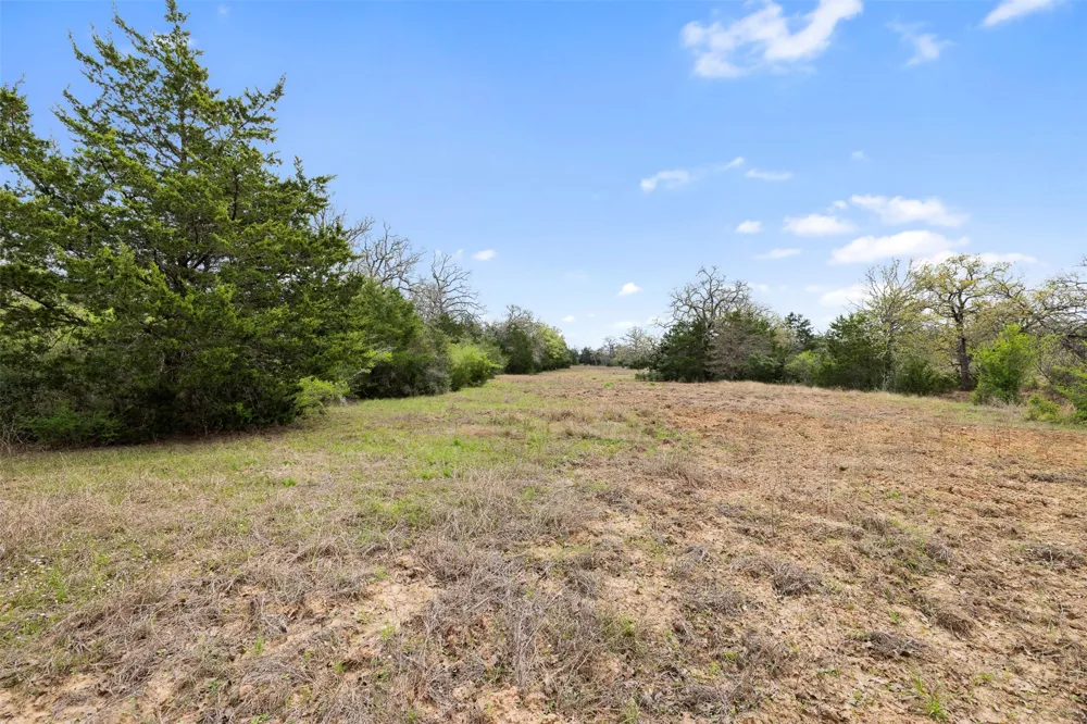 County Road 332 Paige, TX 78659