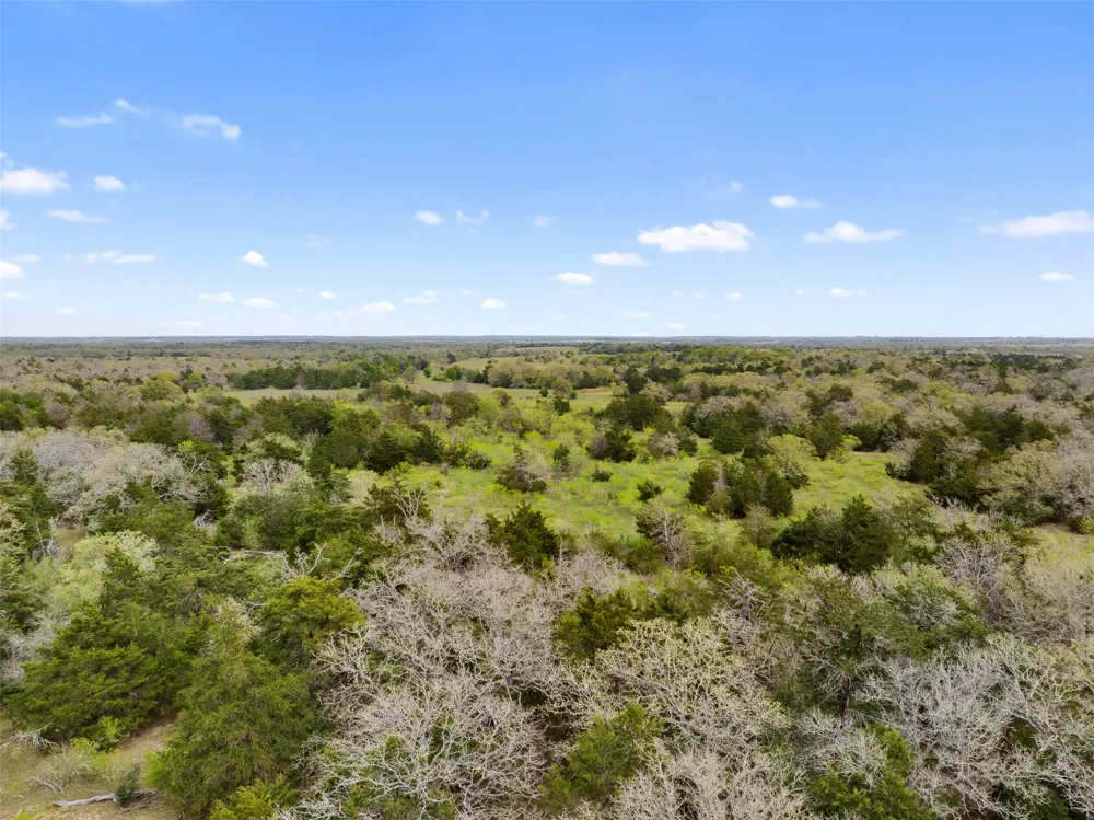 County Road 332 Paige, TX 78659