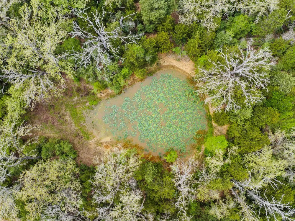 County Road 332 Paige, TX 78659