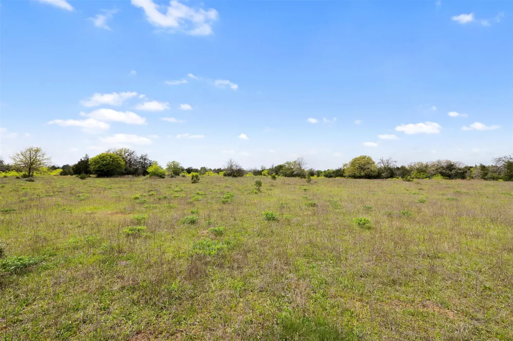 County Road 332 Paige, TX 78659