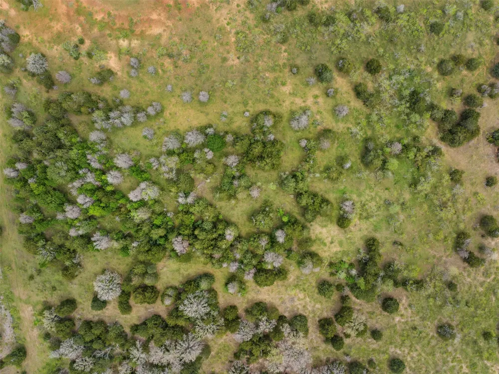 County Road 332 Paige, TX 78659