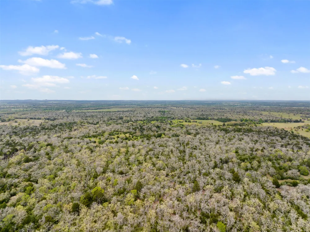 County Road 332 Paige, TX 78659