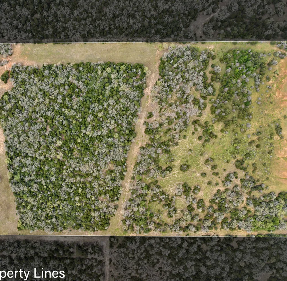 County Road 332 Paige, TX 78659