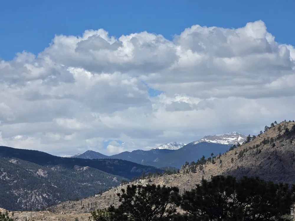 165 Wolf Drive Drake, CO 80515
