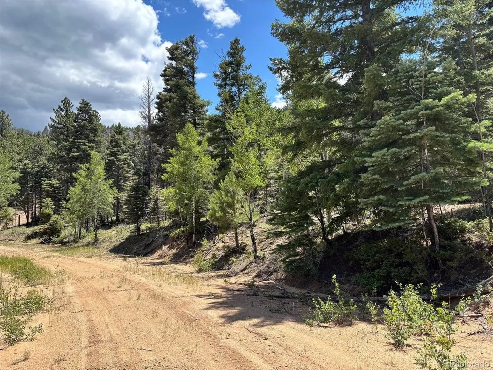 0 Sesame Road Fort Garland, CO 81133