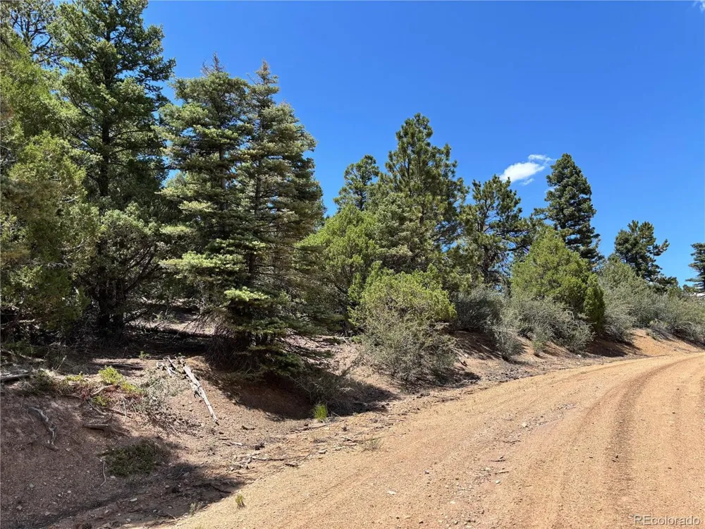 0 Sesame Road Fort Garland, CO 81133