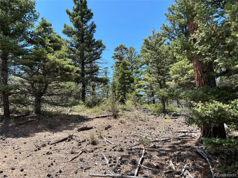 0 Sesame Road Fort Garland, CO 81133