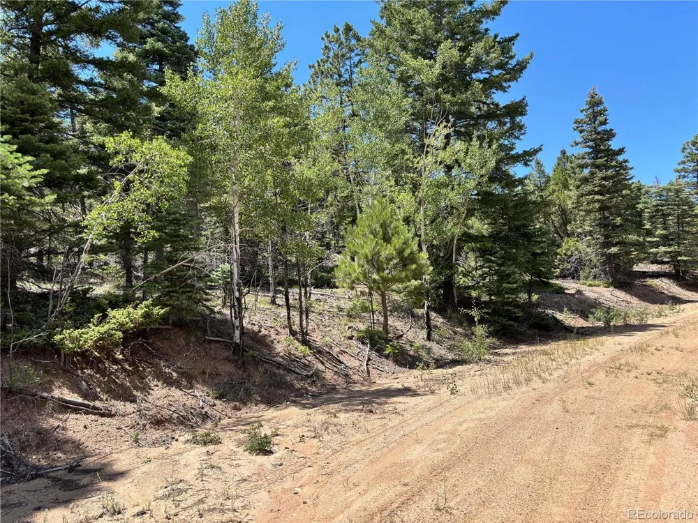 0 Sesame Road Fort Garland, CO 81133