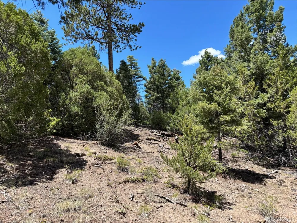 0 Sesame Road Fort Garland, CO 81133