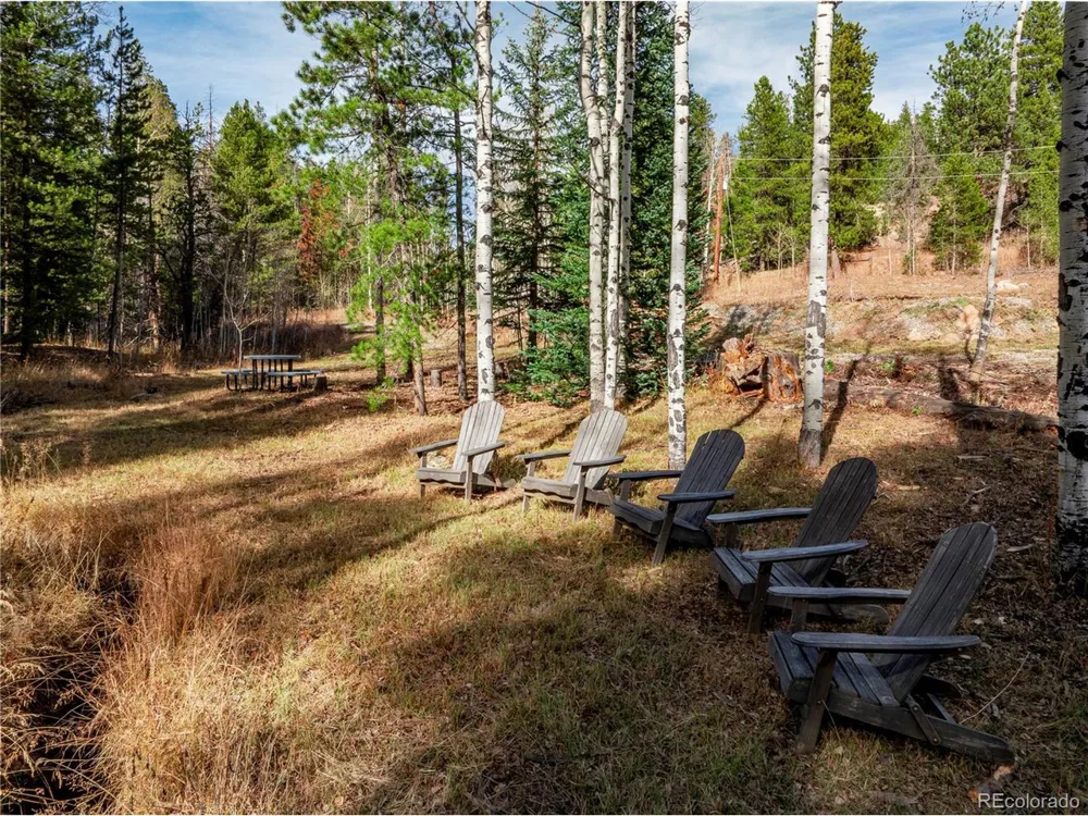216620 Indian Springs Road Conifer, CO 80433