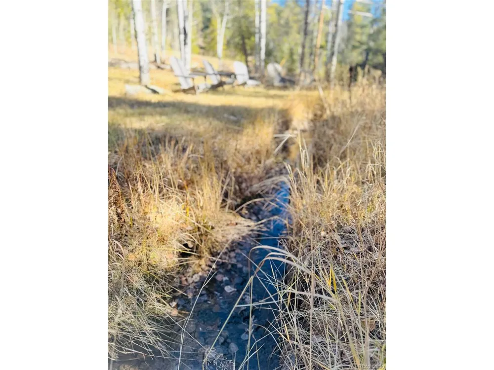 216620 Indian Springs Road Conifer, CO 80433