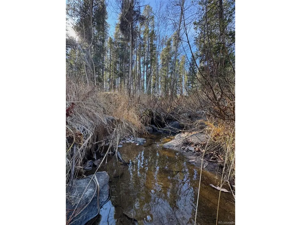 216620 Indian Springs Road Conifer, CO 80433