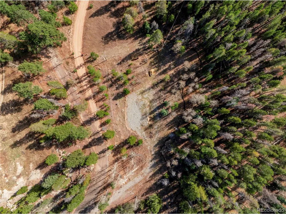 216620 Indian Springs Road Conifer, CO 80433