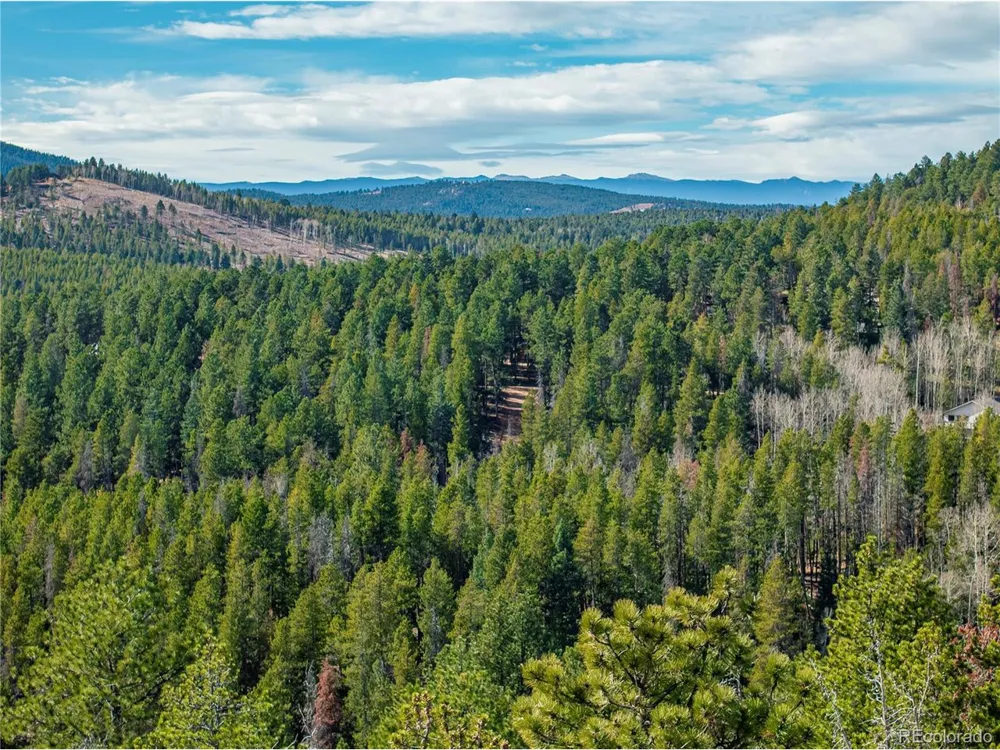 216620 Indian Springs Road Conifer, CO 80433
