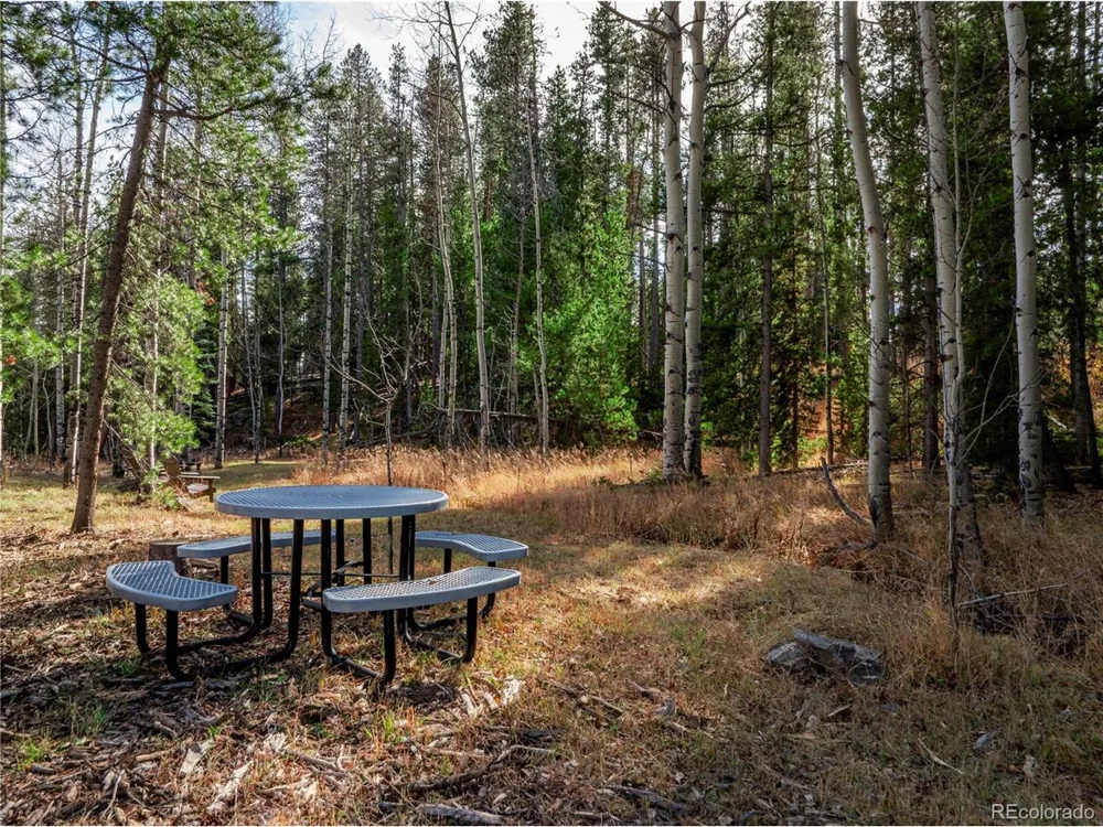 216620 Indian Springs Road Conifer, CO 80433
