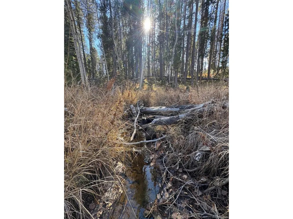 216620 Indian Springs Road Conifer, CO 80433