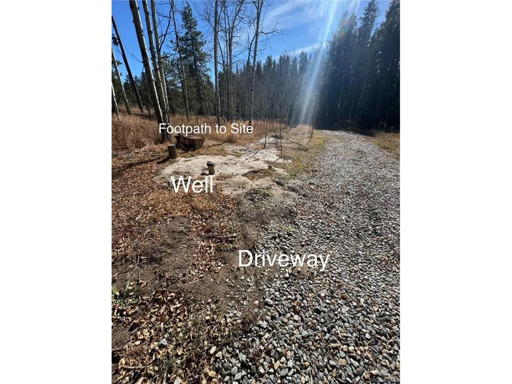 216620 Indian Springs Road Conifer, CO 80433