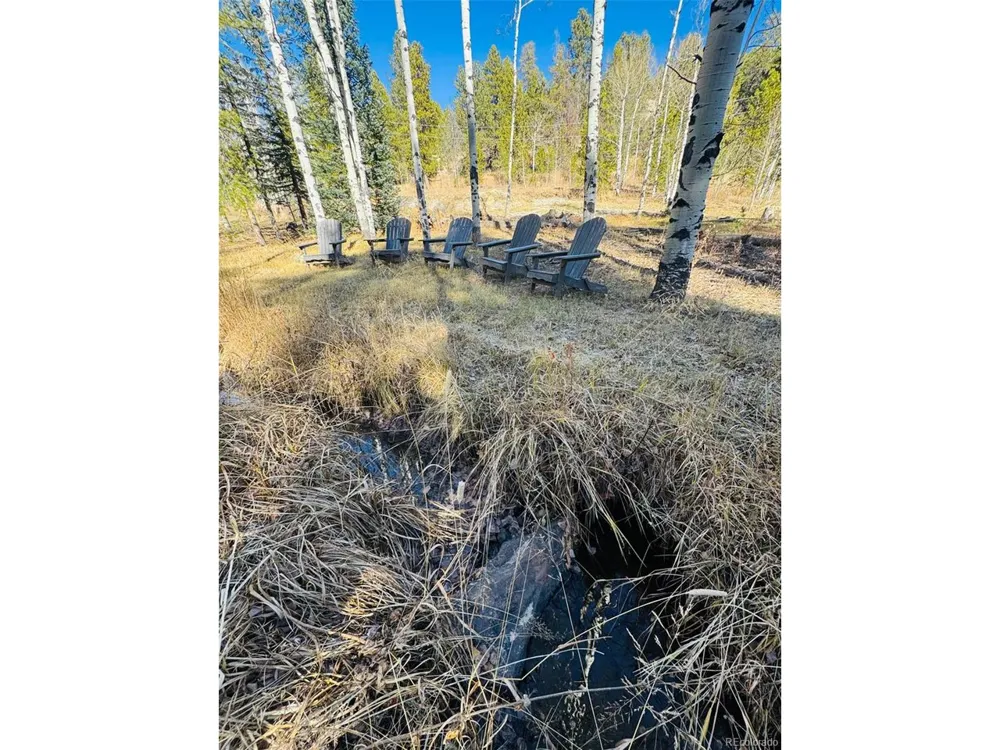 216620 Indian Springs Road Conifer, CO 80433