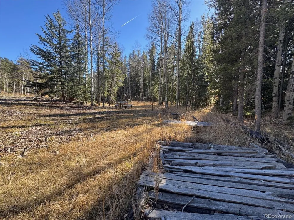 216620 Indian Springs Road Conifer, CO 80433