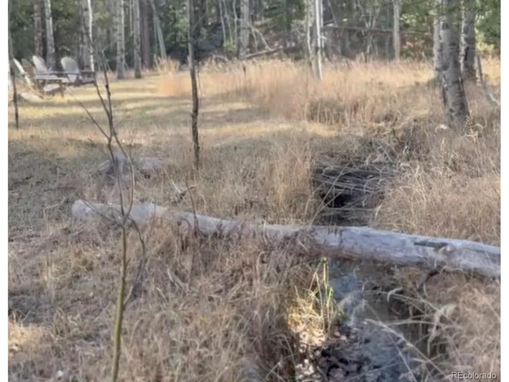 216620 Indian Springs Road Conifer, CO 80433