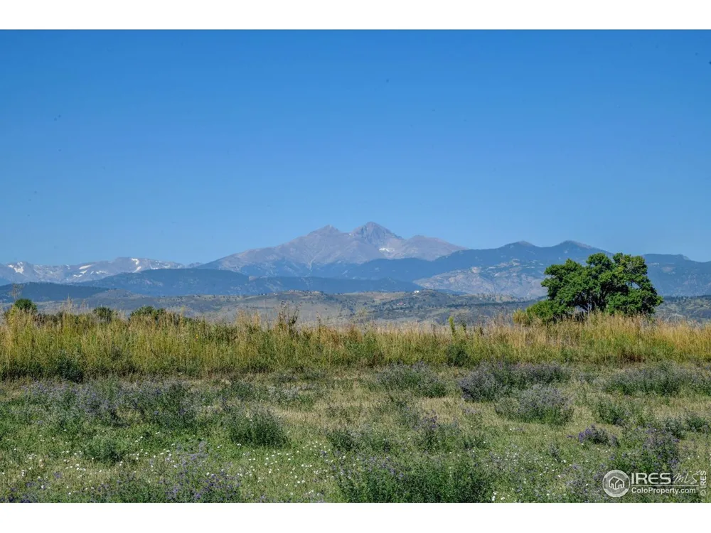 1346 Burt Avenue Berthoud, CO 80513
