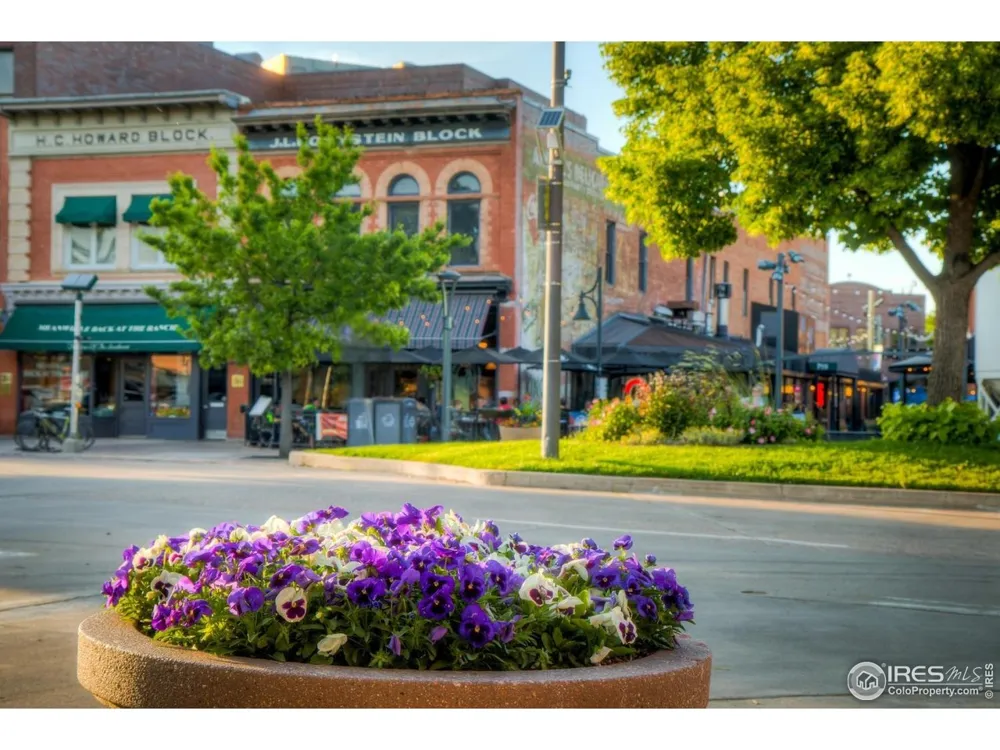 228 E Oak Street Fort Collins, CO 80524