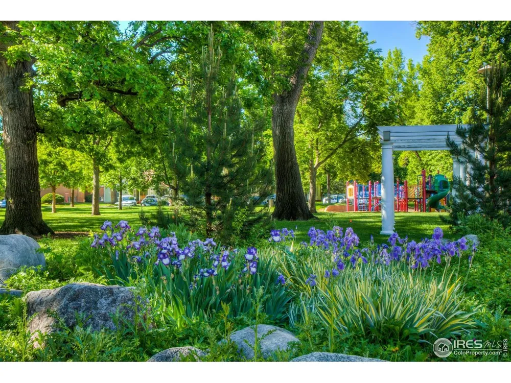 228 E Oak Street Fort Collins, CO 80524